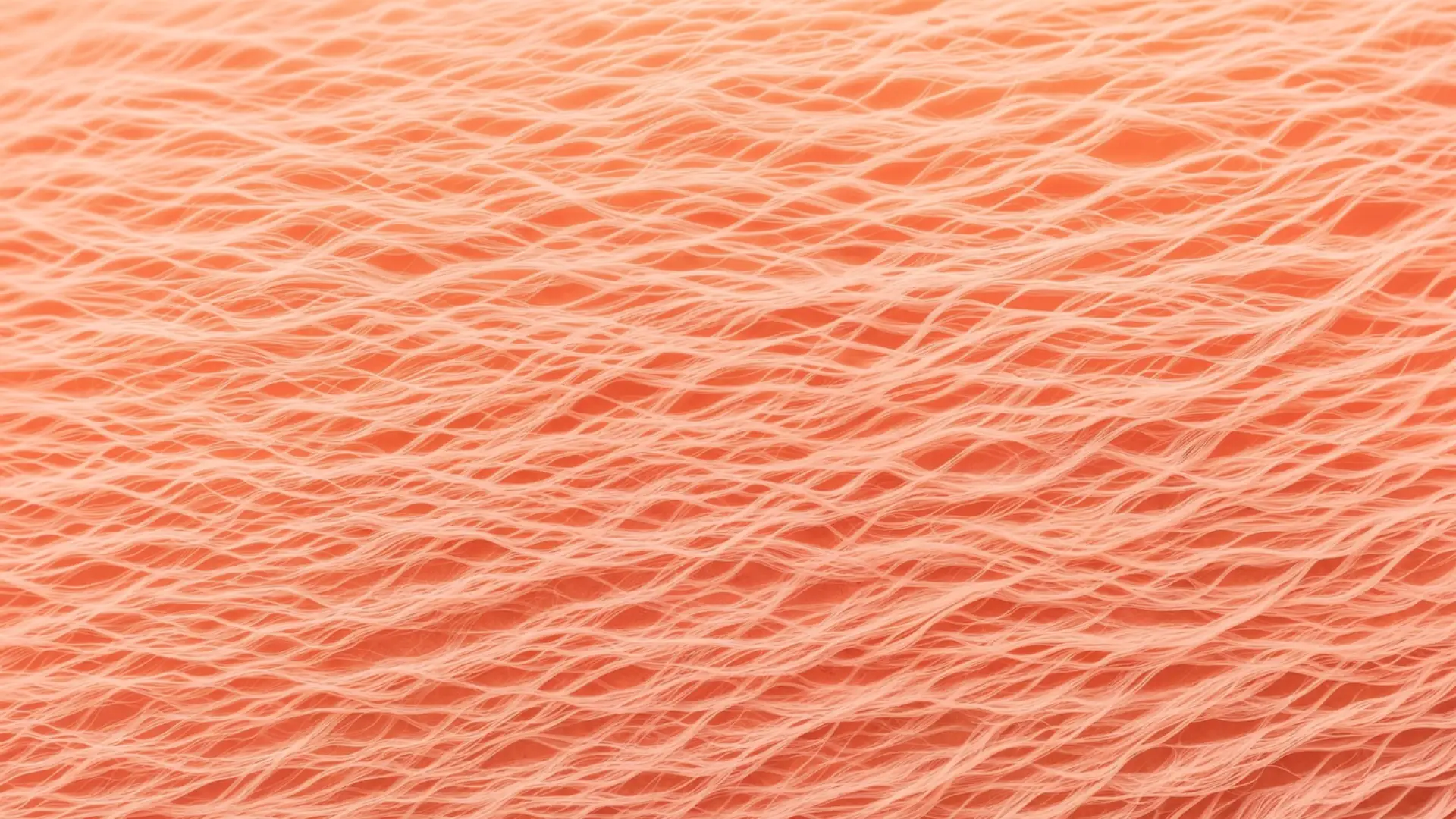 Huile de nigelle non filtrée