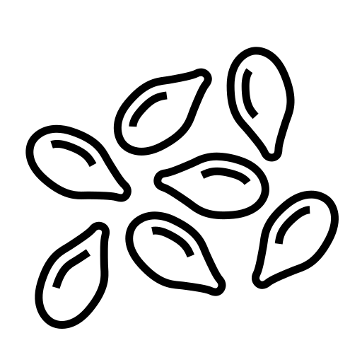 graine de nigelle